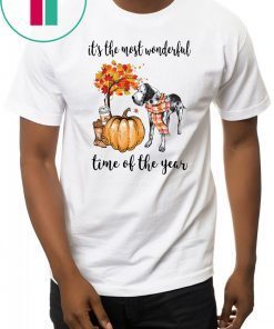 Dalmatian it’s the most wonderful time of the year shirt