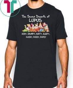 Disney cartoon the seven dwarfs of lupus achy grumpy hurty sleepy ouchy foggy dopey shirt