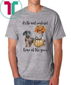 Dachshund pumpkin Its the most wonderful time of the year Classic T-Shirt