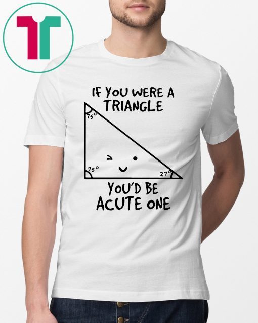 If You Were Triangle Youd Be Acute One Math Gift T-Shirt