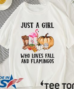 Just a girl who loves fall and Flamingos Shirt