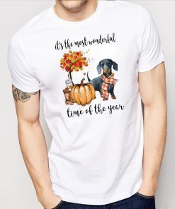 dachshund it's the most wonderful time of the year Shirt