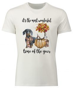 Dachshund pumpkin Its the most wonderful time of the year Classic T-Shirt