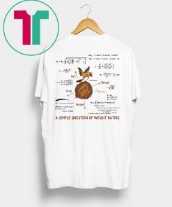 A Simple Question Of Weight Ratios Funny Math T-Shirt