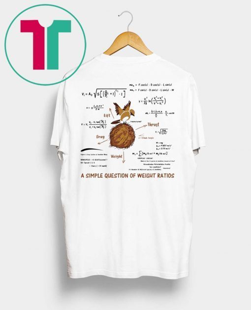 A Simple Question Of Weight Ratios Funny Math T-Shirt