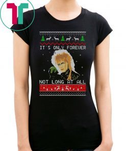 Labyrinth It’s only forever not long at all Christmas 2020 T-Shirt
