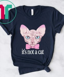 Friends Quotes Shirt It’s Not a Cat Rachel Sphynx cat Shirt