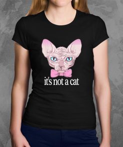 Friends Quotes Shirt It’s Not a Cat Rachel Sphynx cat Shirt