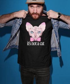 Friends Quotes Shirt It’s Not a Cat Rachel Sphynx cat Shirt