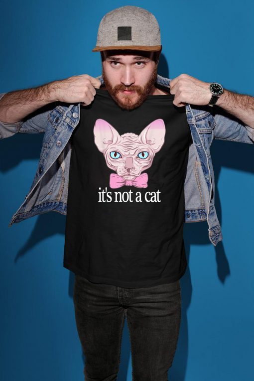 Friends Quotes Shirt It’s Not a Cat Rachel Sphynx cat Shirt