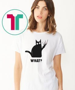 Halloween black cat freddy krueger what Shirt