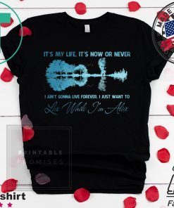 IT MY LIFE NOW OR NEVER LIVE WHILE I’M ALIVE JON BON JOVI SHIRT