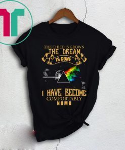 Pink Floyd I Have Become Comfortably Numb Shirt