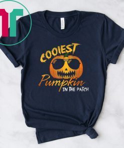 Vintage Coolest Pumpkin In the Patch Halloween Costume T-Shirt