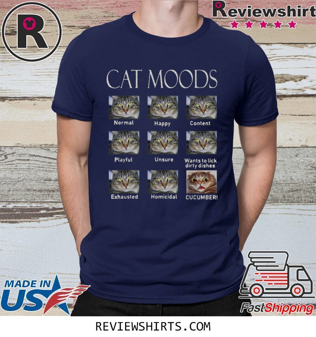 funny cat moods