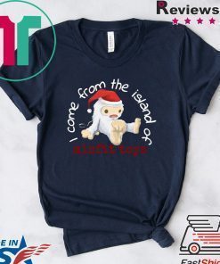 Come from the island of misfit toys Christmas shirt