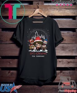 DISNEY HARRY CHRISTMAS FOR EVERYONE CHRISTMAS SHIRT