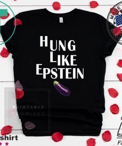 Eggplant Hung like Epstein Funny t-shirt