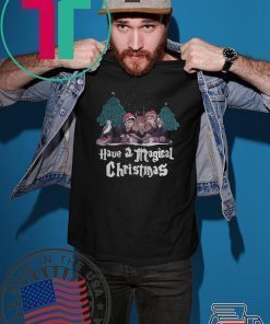 HAVE A MAGICAL CHRISTMAS HARRY POTTER SHIRT