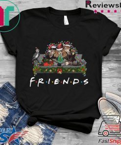 Harry Potter Hermione And Ron Weasley Christmas Friends T-Shirt