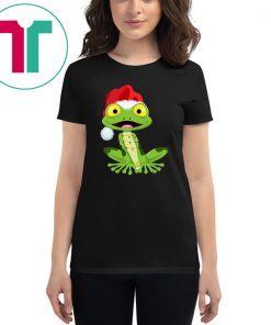 Merry and Bright Frog Merry And Bright Christmas Xmas Shirt