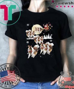 Sheltie Sleigh Reindeer Christmas shirt