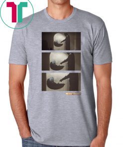 The Mandalorian Star Wars Baby Yoda Shirt