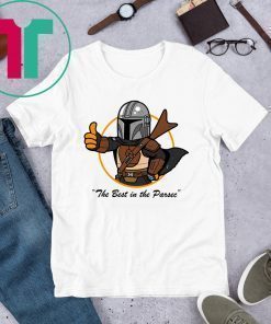 Vault Mando The Mandalorian T-Shirt