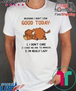 Reasons I Don’t Look Good Today I Don’t Care I Have No One To Impress And I’m Really Lazy Shirt