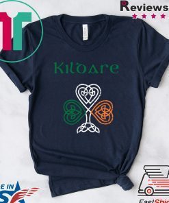 County Kildare Shamrock Ireland Flag, craic and ceol, Shirt