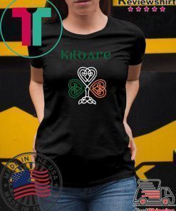 County Kildare Shamrock Ireland Flag, craic and ceol, Shirt
