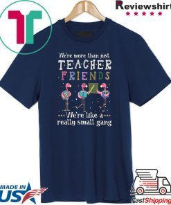 Flamingo We're More Than Just Teacher Friends T-Shirt