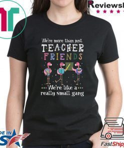 Flamingo We're More Than Just Teacher Friends T-Shirt
