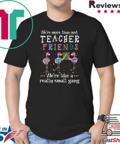 Flamingo We're More Than Just Teacher Friends T-Shirt