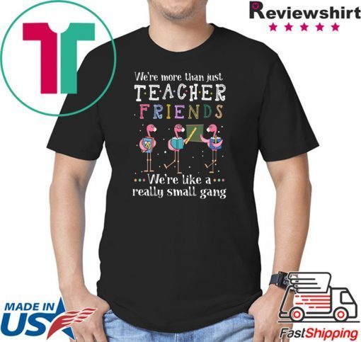 Flamingo We're More Than Just Teacher Friends T-Shirt