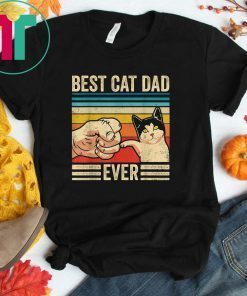 Mens Vintage Best Cat Dad Ever Bump Fit Fathers Day Gift T-Shirt