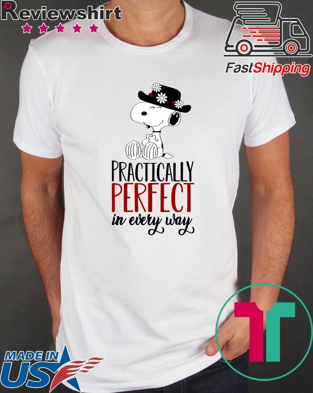 Snoopy Practically Perfect in Every Way Shirt Snoopy Practically Perfect in Every Way Shirt