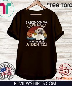 I Asked God For A True Friend So He Gave Me A Shih Tzu Shirt