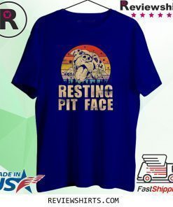 Vintage Pitbull Resting Pit Face Funny Pitbull Lovers T-Shirt
