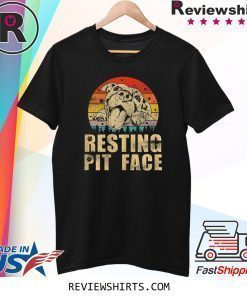 Vintage Pitbull Resting Pit Face Funny Pitbull Lovers T-Shirt