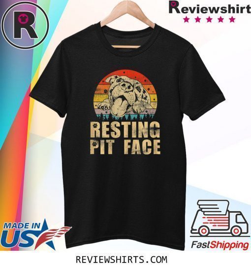 Vintage Pitbull Resting Pit Face Funny Pitbull Lovers T-Shirt