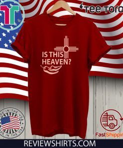 IS THIS HEAVEN ? - NO, IT'S A DONALD TRUMP RALLY SHIRT