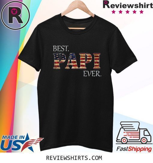 Vintage Best Papi Ever American Flag For Father's Day Gift T-Shirt