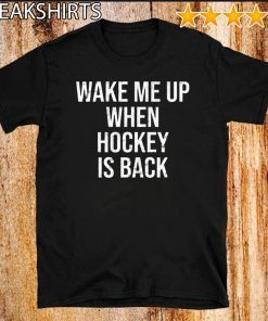 Wake Me Up When Baseball Is Back T Shirt