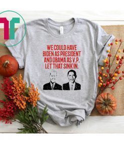 We could have Biden as President and Obama as VP Let that sink in T-Shirt