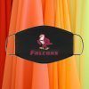 FRIENDS UNIVERSITY FALCONS AMERICAN FOOTBALL FACE MASK
