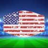 GRUNGE AMERICAN FLAG FACE MASKS