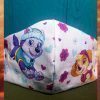 Paw Patrol Face Mask Washable Reusable Skye and Everest