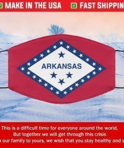 Flag of Arkansas State Filter Face Mask