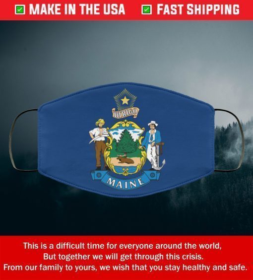 Flag of Maine State Filter Face Mask